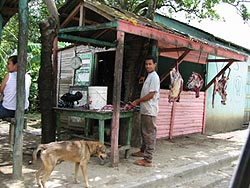 Repubblica Dominicana