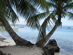Guadalupa