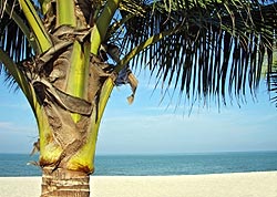 Tailandia