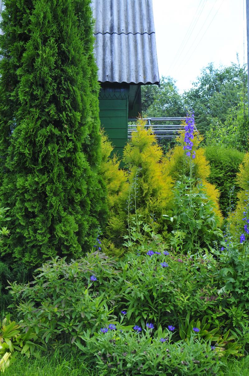 Casa verde in legno nel giardino di una dacia