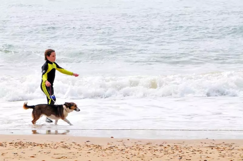 Ostseeurlaub mit Hund