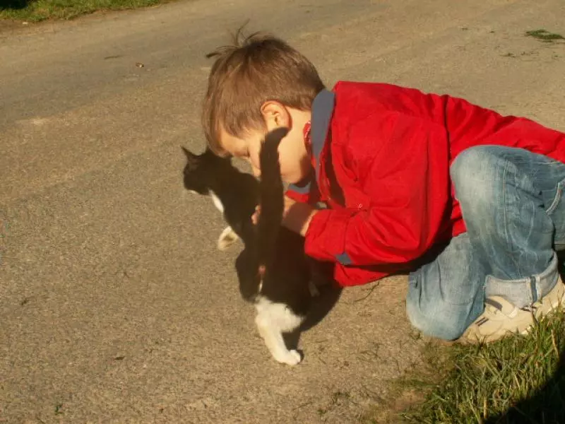Bambino con un gatto