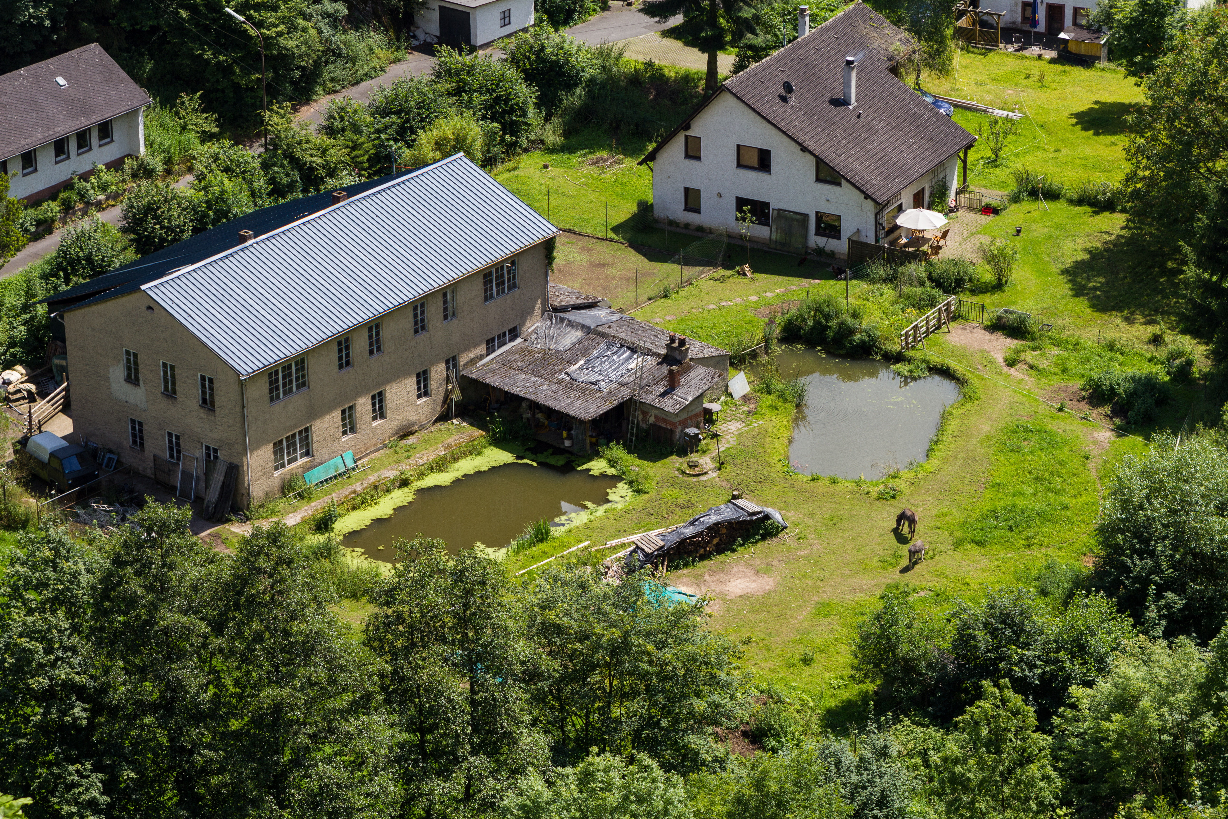 burgen manderscheid