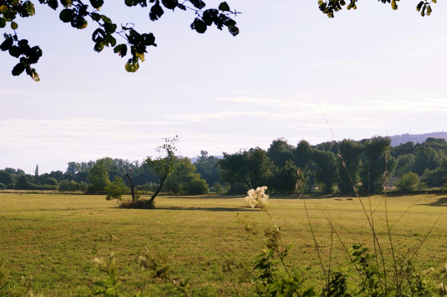File:Sulzwiesen bei Malsch - Landkreis Karlsruhe - 05764.jpg
