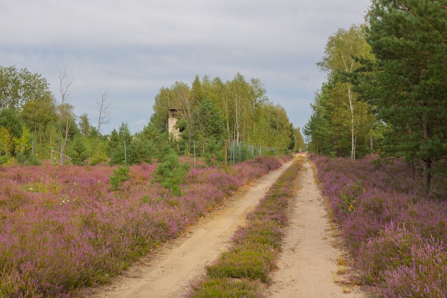 File:Reicherskreuzer Heide 24.jpg