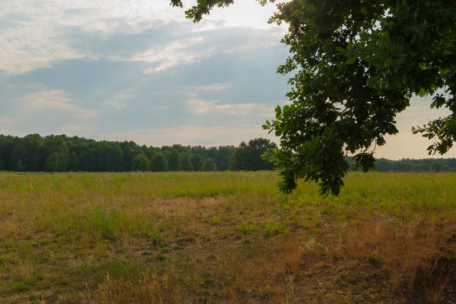 File:Teupitz NSG Muehlenfliess Saegebach 05.jpg