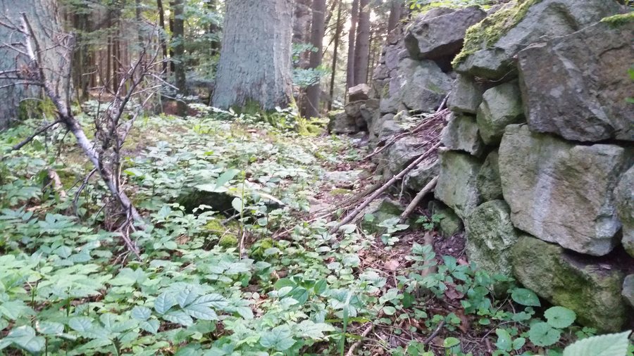 File:Burg Rotenzimmern 1.jpg