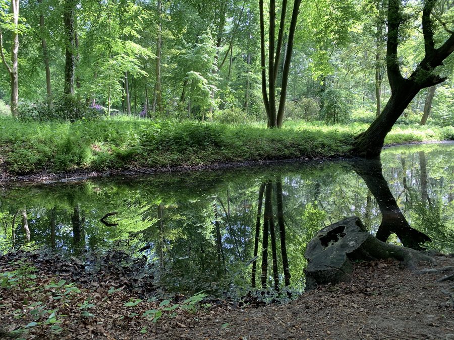 File:Landschaftsschutzgebiet Schlossgarten Rastede.jpg