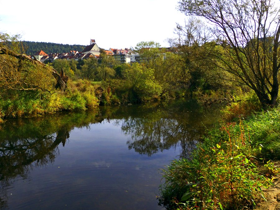 The Danube At Mühlheim An Der Donau