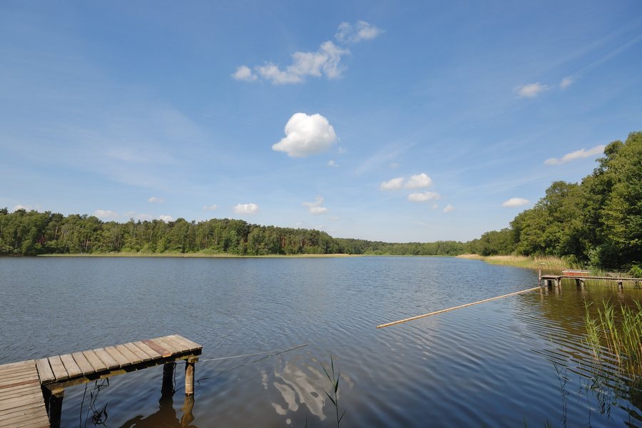 Frauensee (Landkreis Dahme-Spreewald), 2009