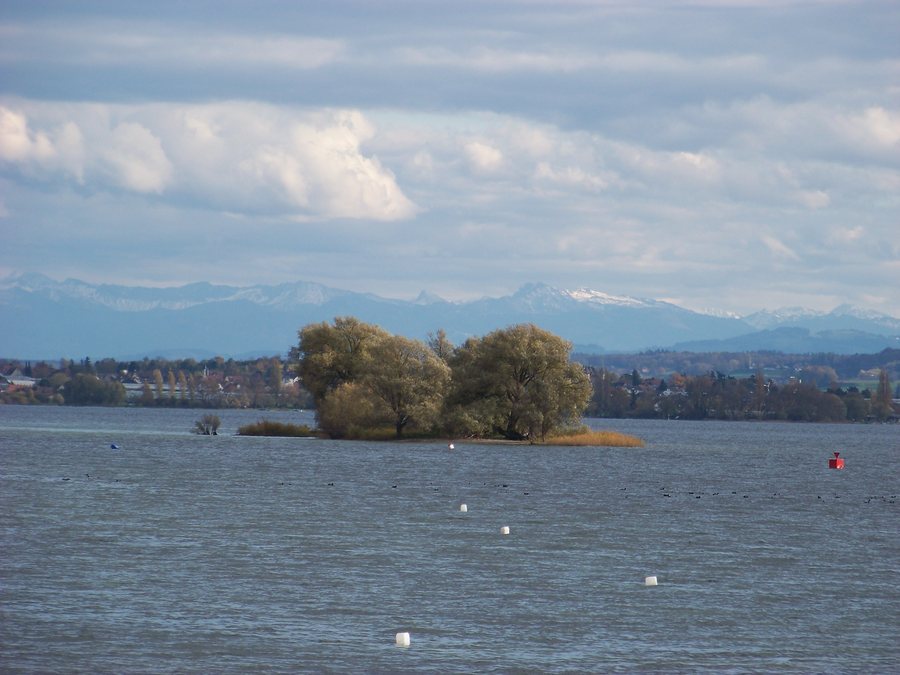 File:Radolfzell am Bodensee, das Naturschutzgebiet Mettnau.JPG
