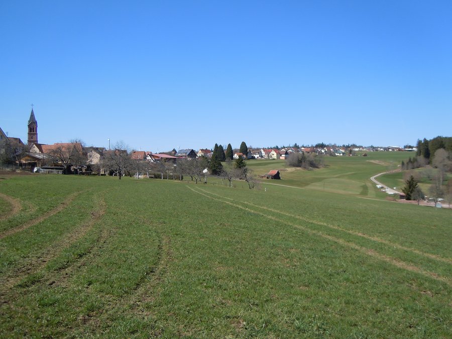 File:NSG Köllbachtal 04.jpg