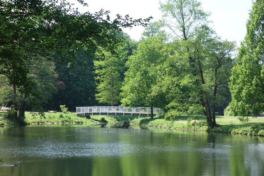 File:Hamm Kurpark Teichanlage.jpg