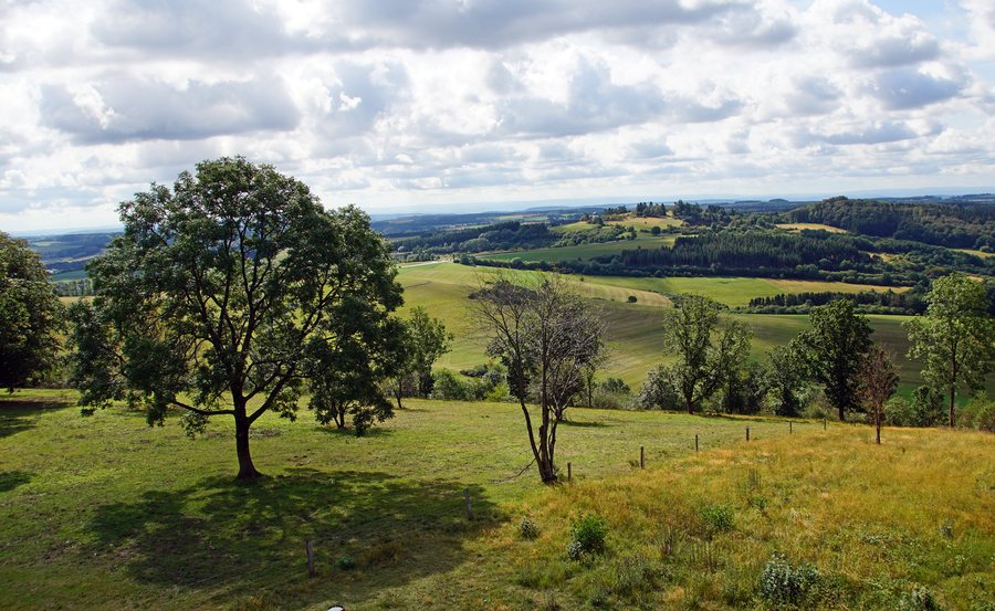 Geopark Vulkaneifel bei Daun am Dronketurm