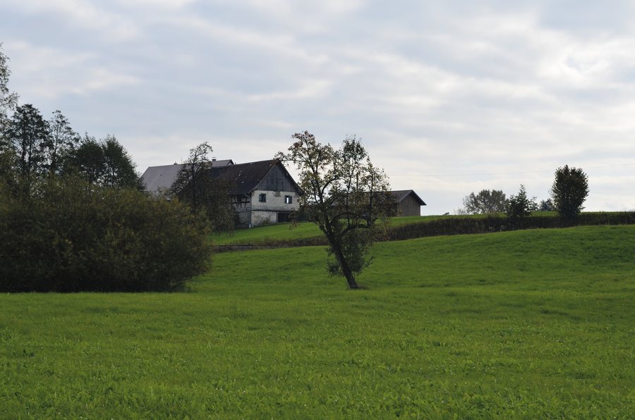 File:Fuggermühle in Bodolz.jpg