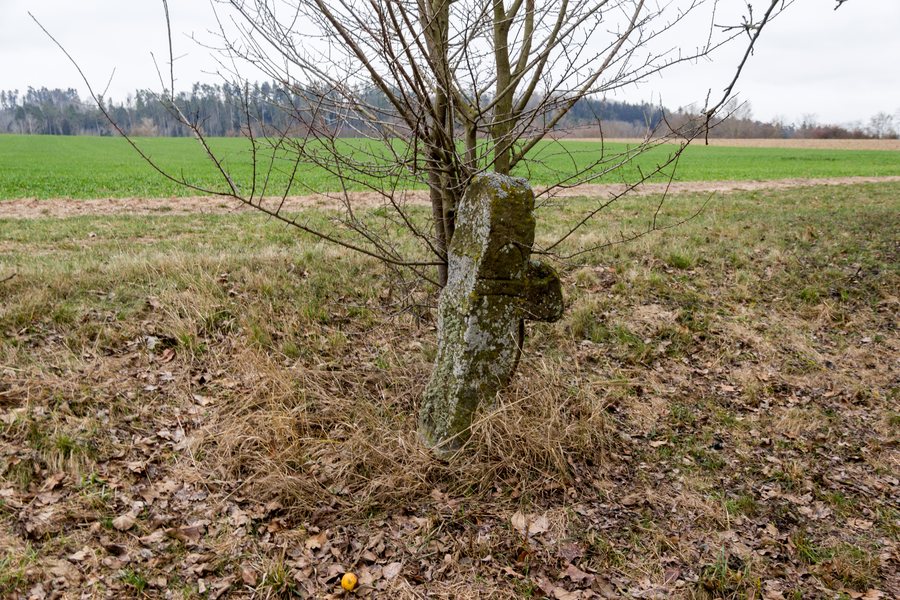 File:2018 Steinkreuz östlich von Burk 01.jpg