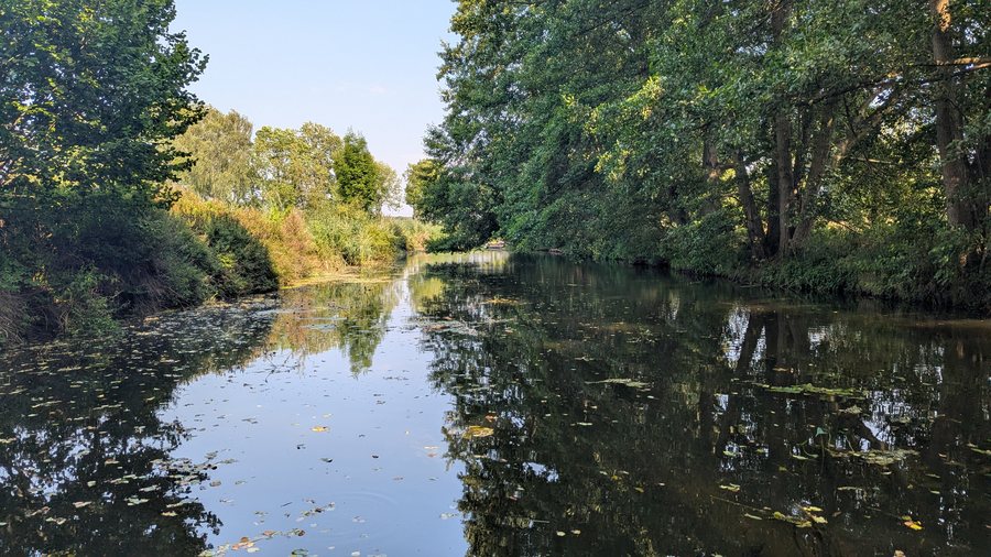 Löcknitz bei Lenzen (Elbe), Juli 2026