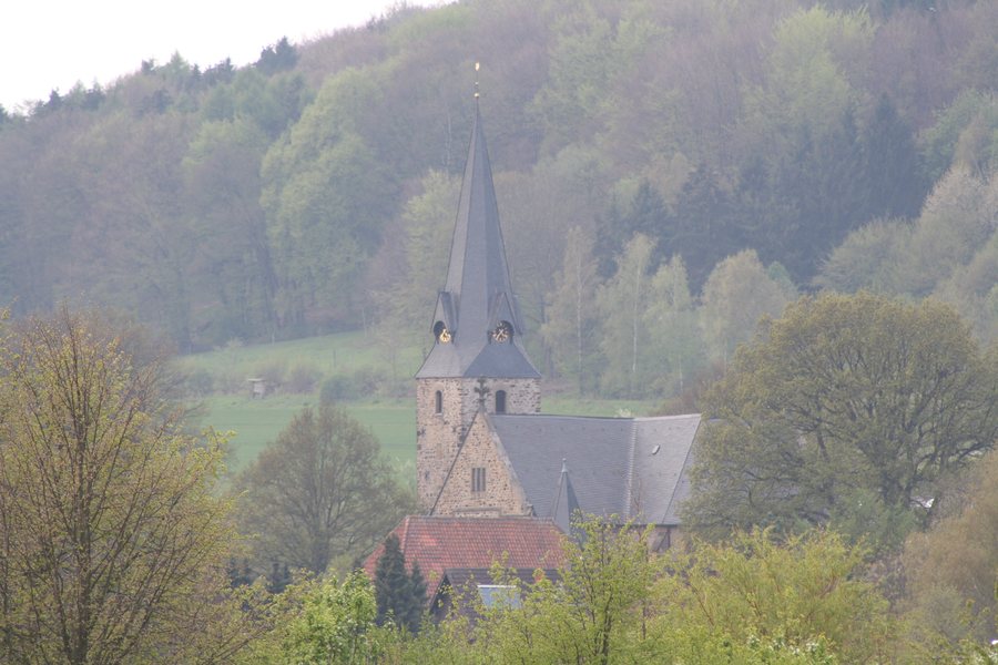 File:2010-04-27 Rödinghausen 045.jpg