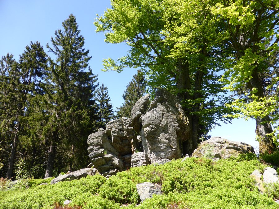 File:Hochberg bei Sankt Englmar.jpg