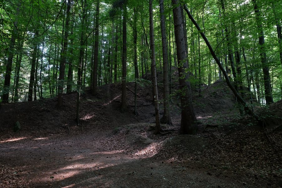 File:DEU-BaWü LSG-4.35.027 Heiligenberg-02 Altheiligenberg-1.jpg