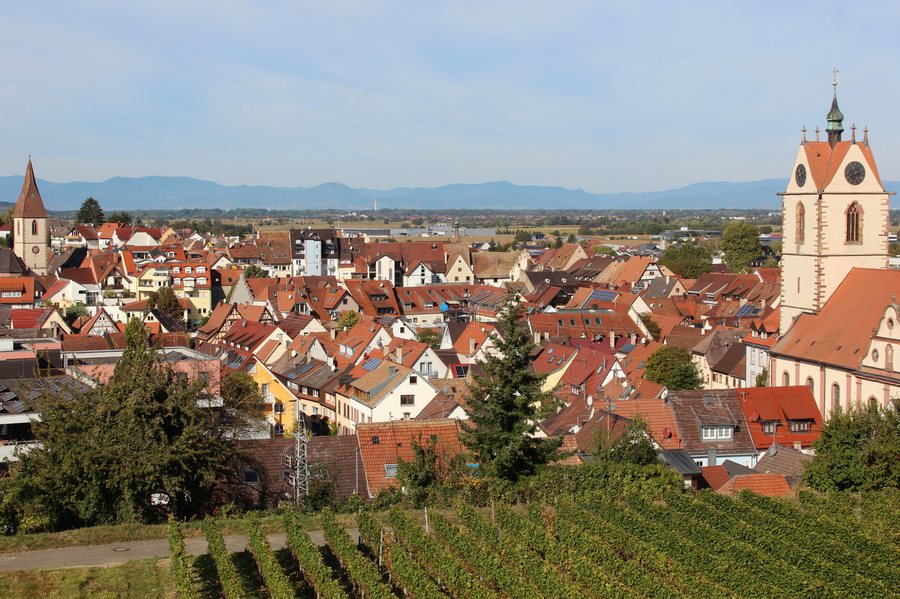 File:EndingenAmKaiserstuhlPanorama5.jpg