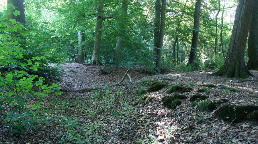 File:Niederungsburg in Harpstedt.jpg