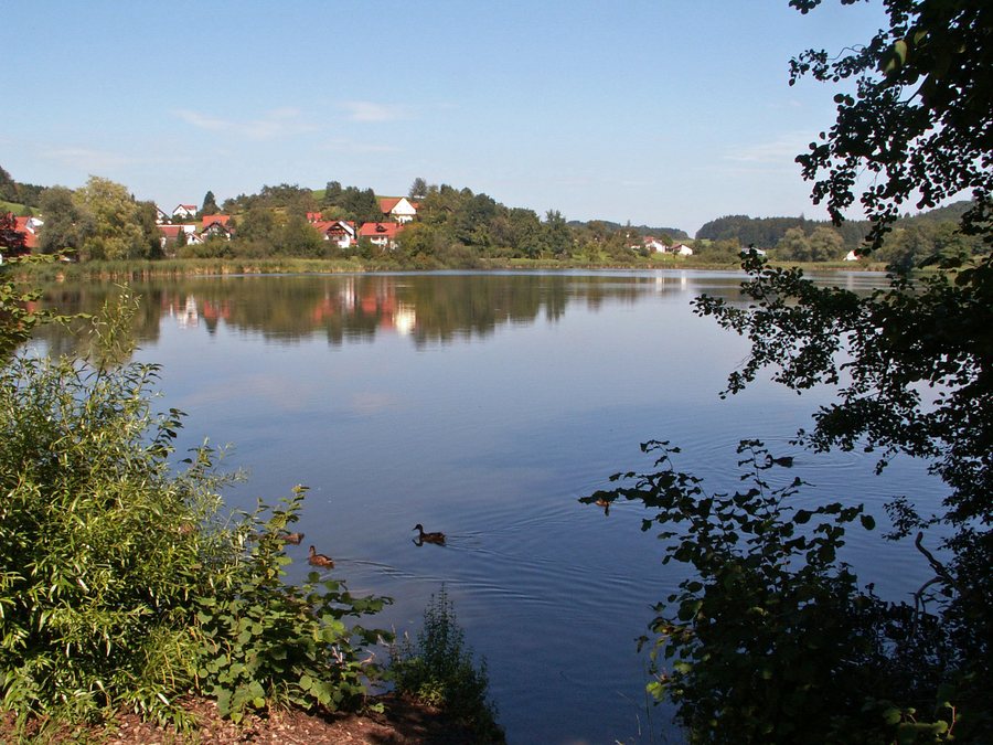File:Weißensberg, LI - Weißensberger Weiher v S.jpg