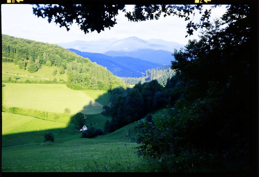 Freiamt: Siegelbachtal