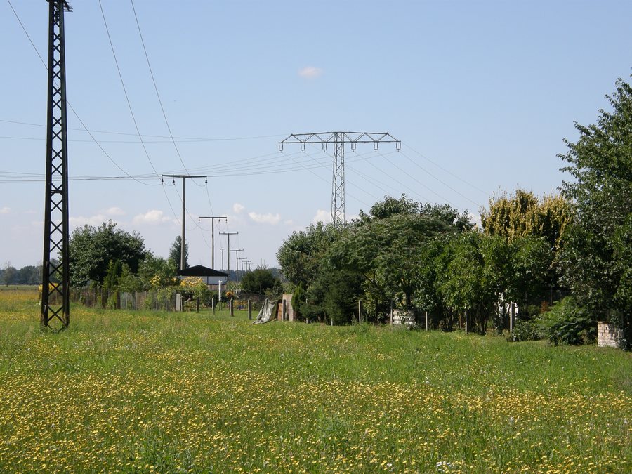 Freileitungskreuzung Landkreis Elbe-Elster DE 2010