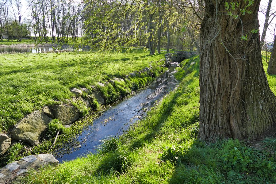 File:Pripsleben Neuwalde Torneybach.JPG
