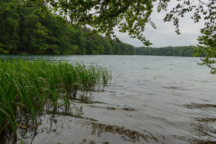 File:Feldberger Seenlandschaft Schmaler Luzin 06.jpg