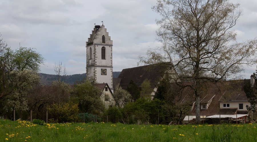 File:Aldingen, de Mauritiuskirche IMG 4822 2023-04-30 14.09.jpg