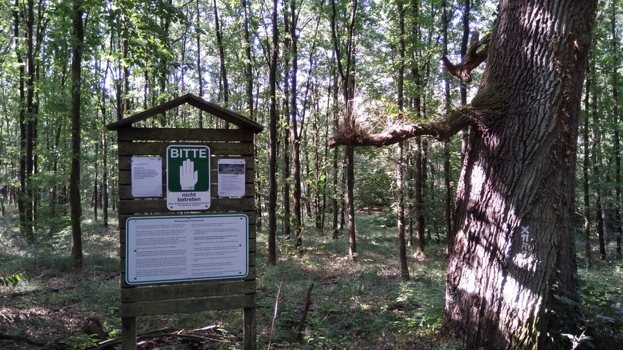 Infotafel im Dämmerwald (Waldgebiet) in Schermbeck, Nordrhein-Westfalen