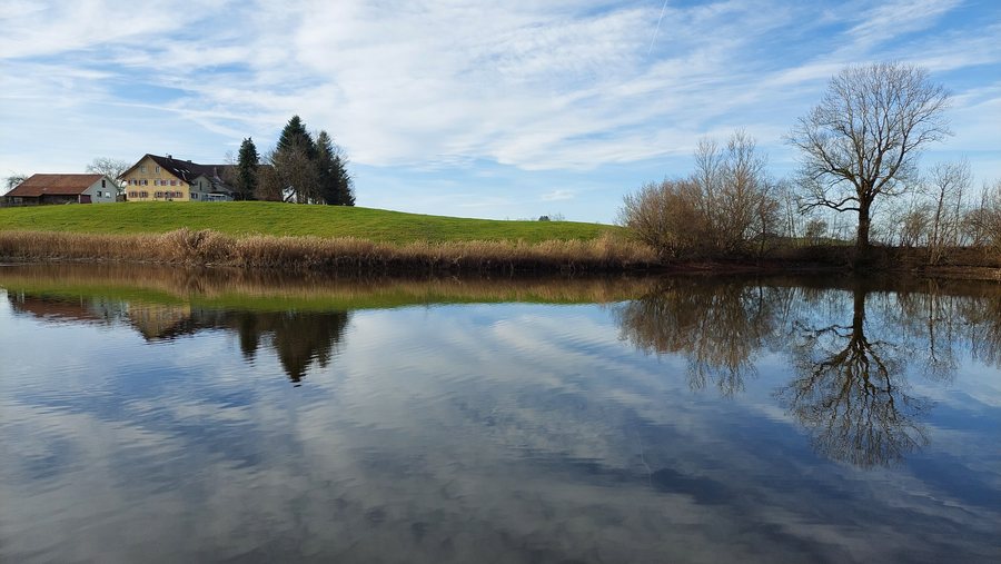 File:Grundweiher in Argenbühl from the landing stage at its northeastern shore.jpg