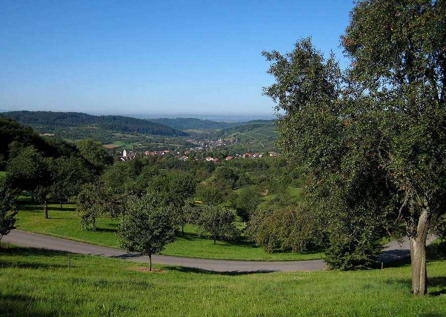 BW41 Schliengen