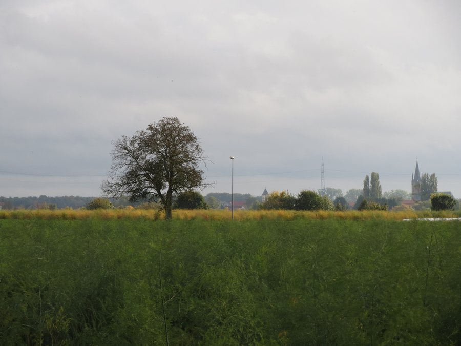 File:20131015Reilingen1.jpg