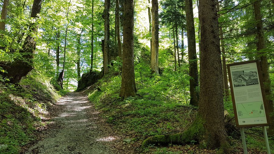 Burgruine Hohenburg bei Lenggries