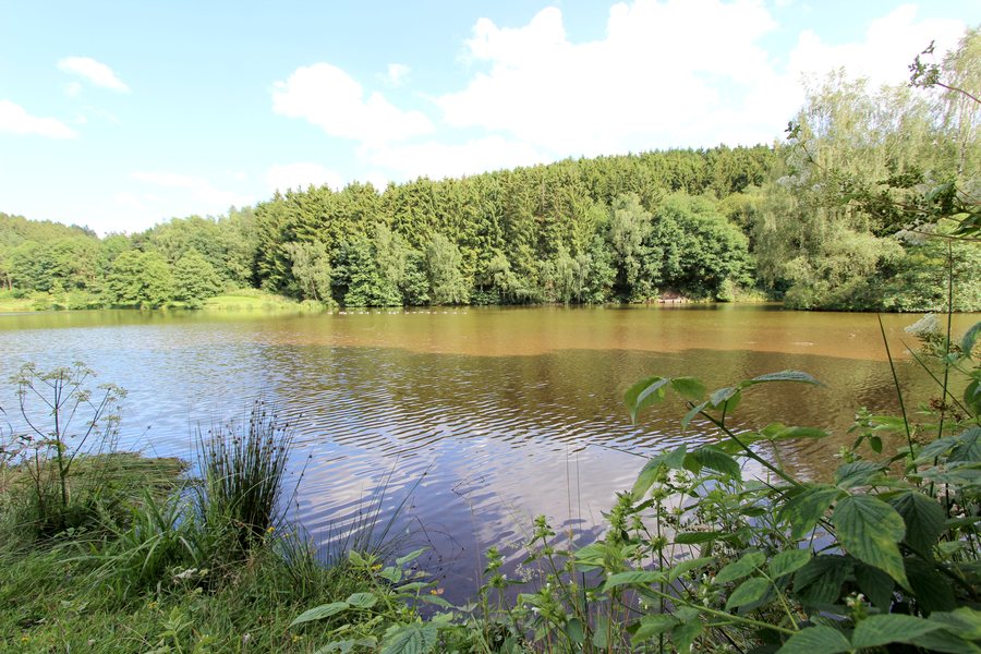 File:Auw bei Prüm (Eifel); Stausee a.jpg