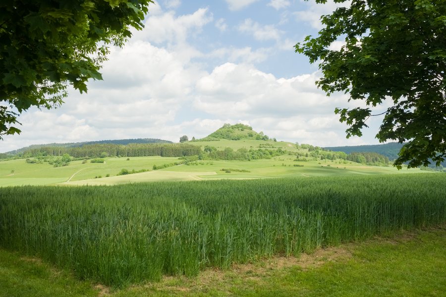 File:Gunningen-5761-IridientEdit.jpg