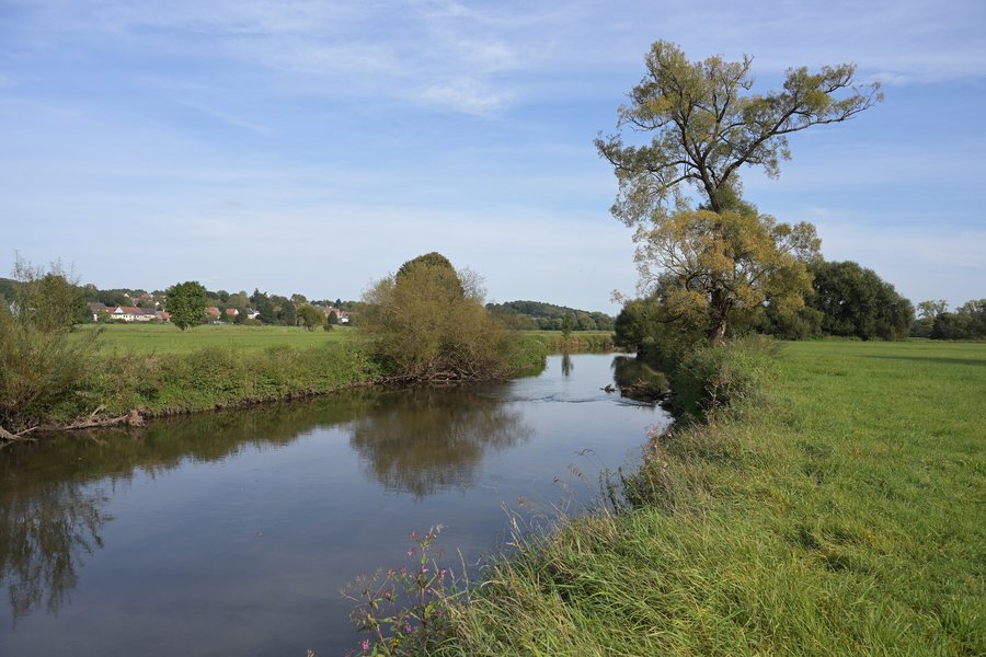 File:Blies (Kohlhof) 2023-09-28 (01).jpg