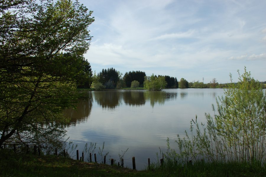 Mönch lake near Mönchweiler, view on the lake, viewing direction northwest