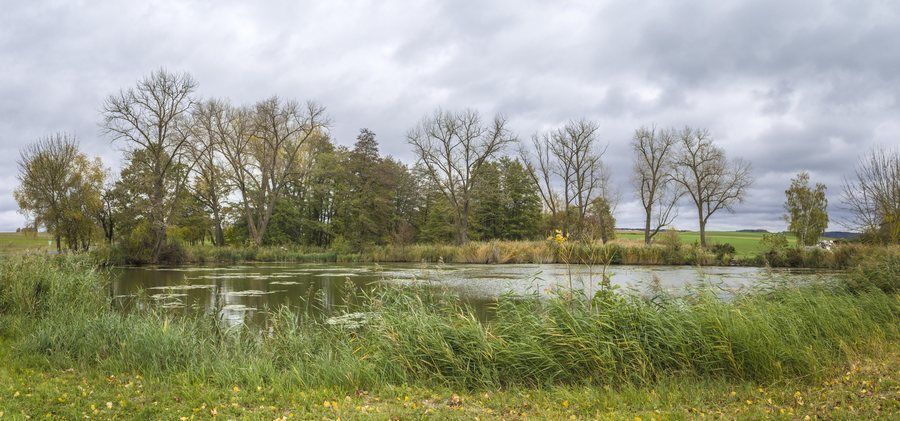 File:ND Stengelsee bei Dingolshausen im November 2023.jpg