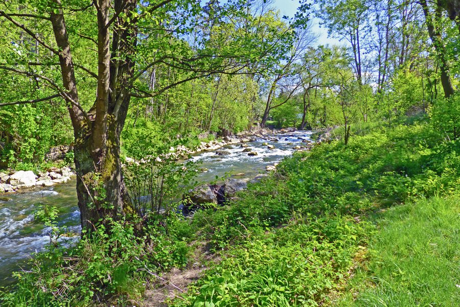 File:Lauter mit Ufervegetation Wendlingen am Neckar (LSG 1.16.084).jpg