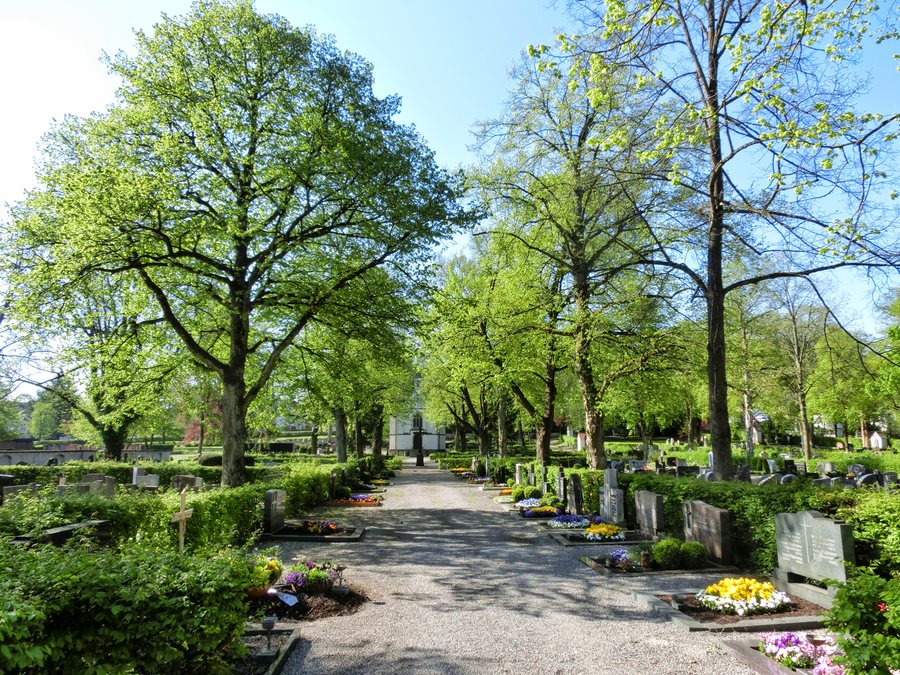 File:D-BW-SIG-Mengen - Alter Friedhof 001.jpg
