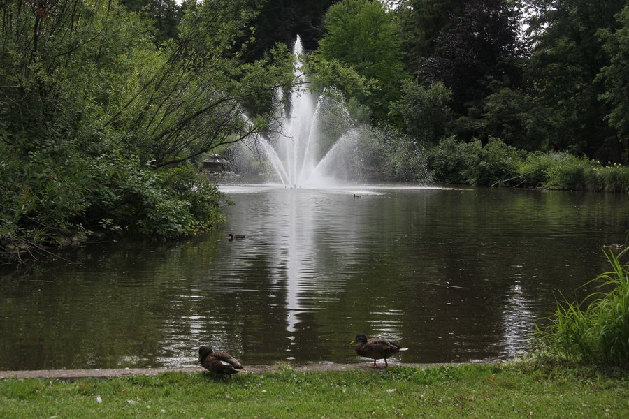 File:Bad Wörishofen - Kurpark (2012-07-12 Sp 03).JPG