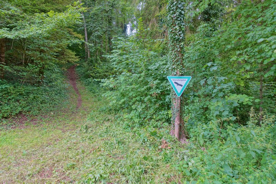 File:Lottstetten Naturschutzgebiet Nacker Mühle Bild 1.jpg