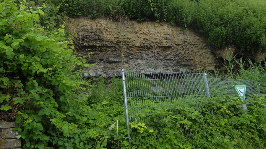 File:Naturdenkmal Tuff-Felsen Kirchheim am Neckar img60461.jpg