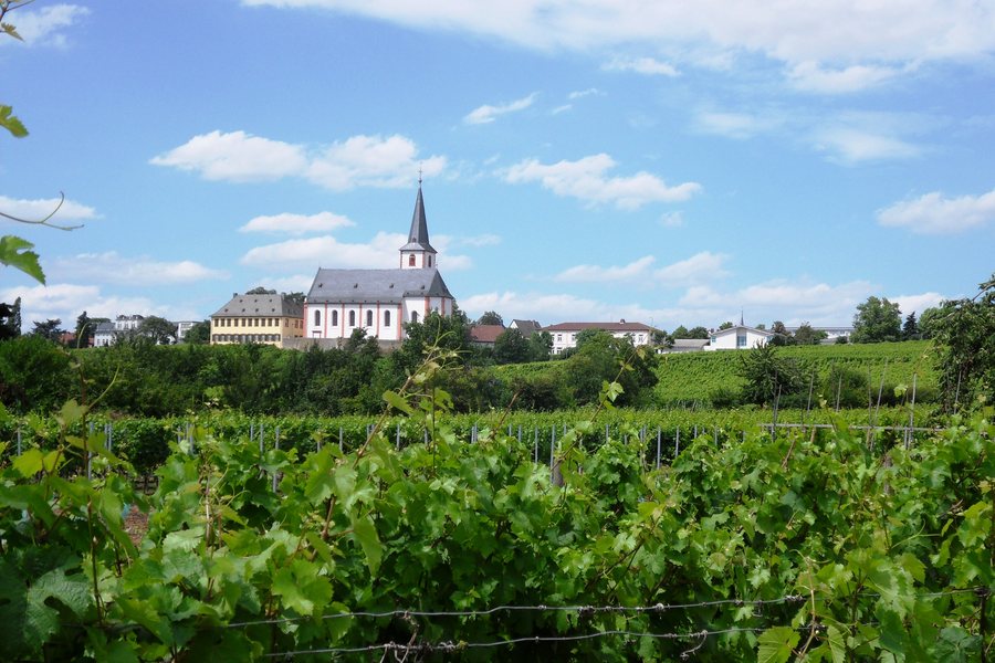 File:HochheimSilhouetteSO.JPG