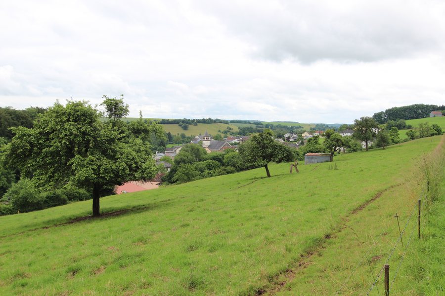 File:Baustert in der Eifel; 2016 a.jpg