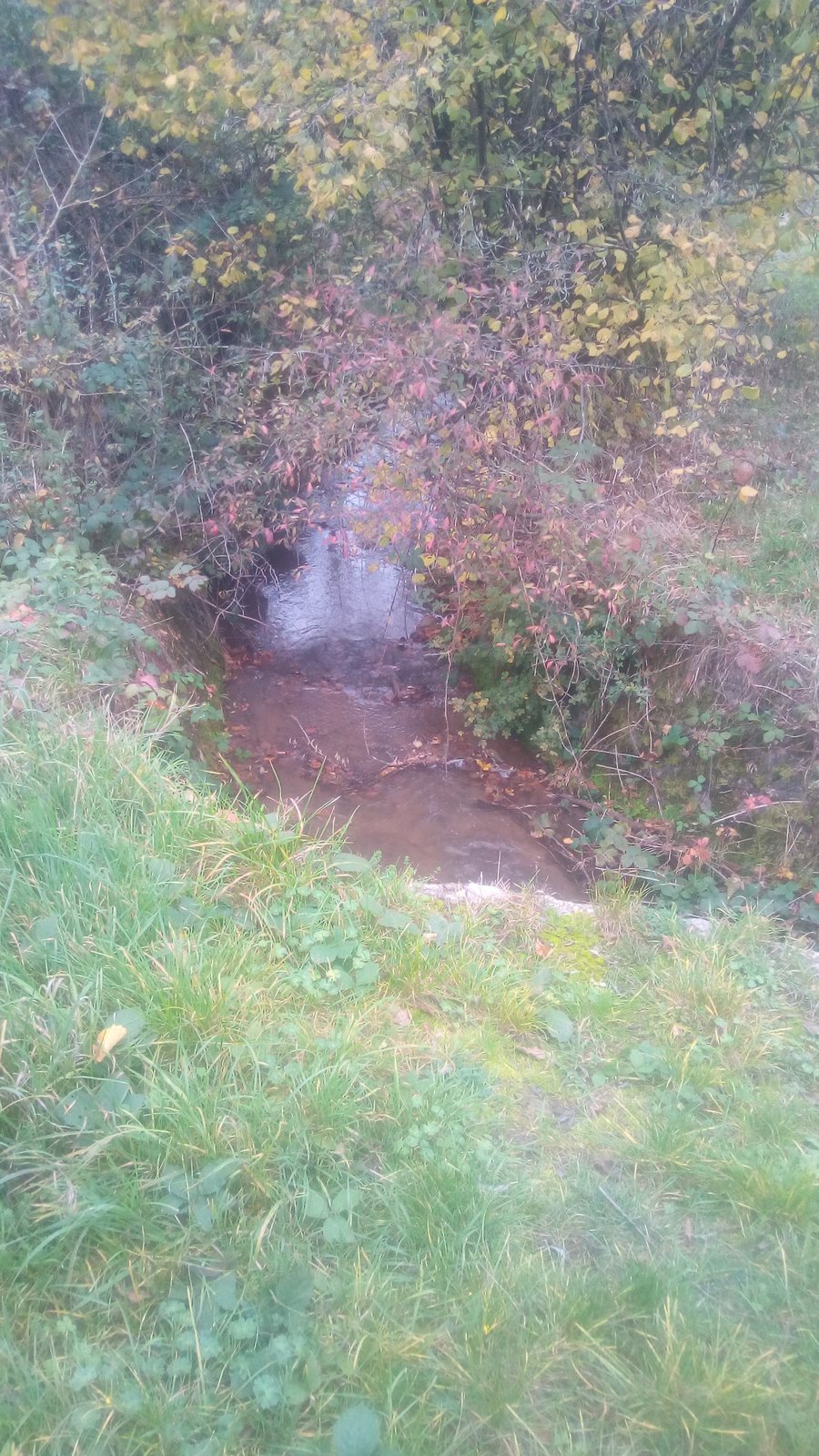 File:Büllstrichgraben.jpg